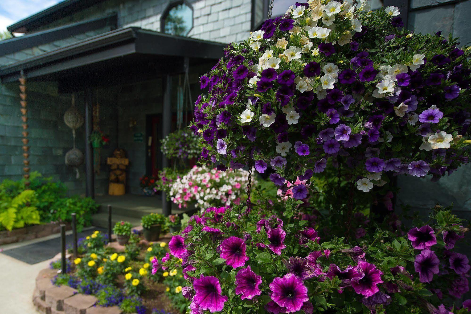 Alaska House Of Jade Bed And Breakfast 安克拉治 外观 照片